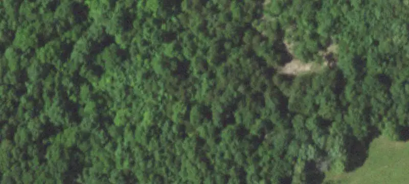 Wooded Land Parcel with Pastures