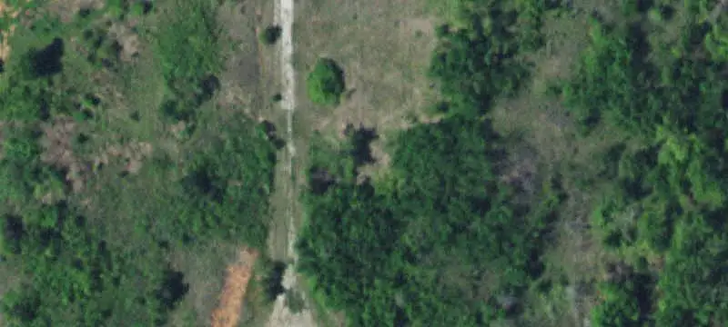 Wooded and Cleared Land