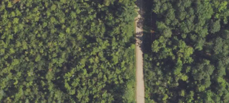 Wooded Hunting Land With Log Cabin