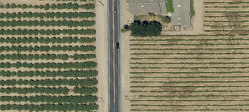 Almond Orchard Farm With Rental Home