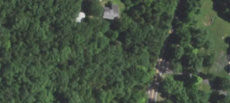Wooded Land with Building Area