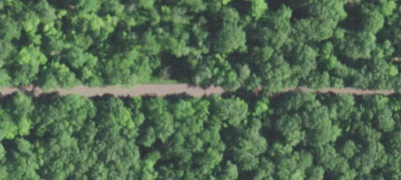 Wooded Acreage Land