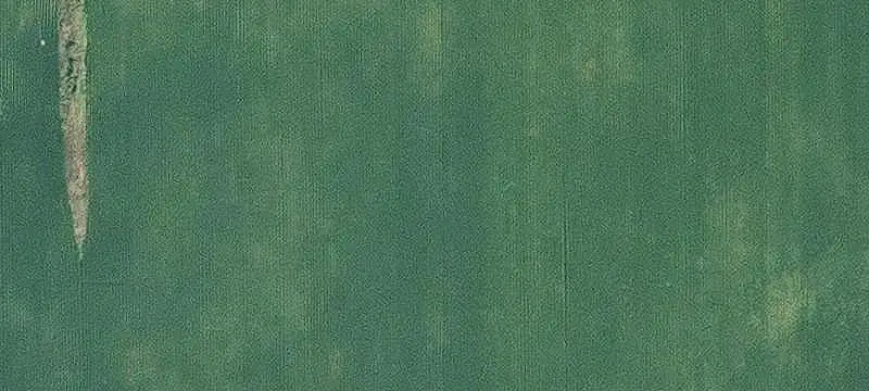 80-Acre Farmland with CRP