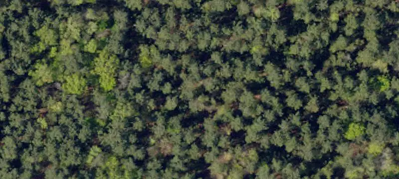 Acreage