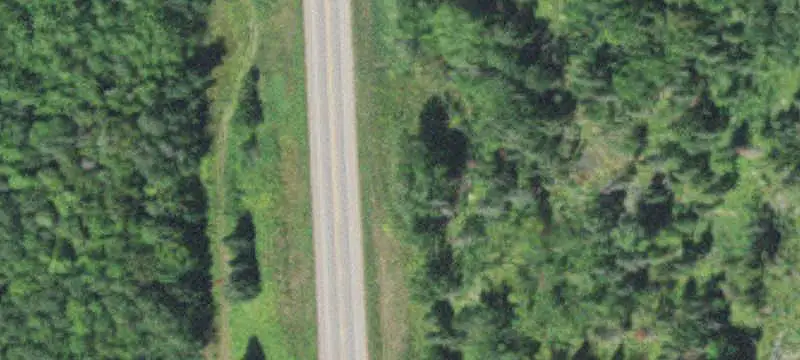 Wooded Recreation Land