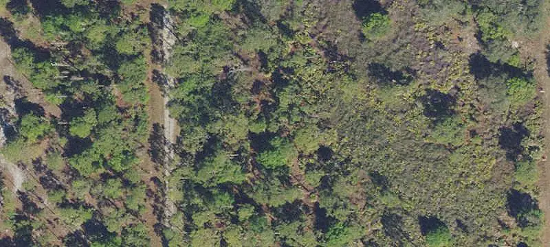 Land/Lot