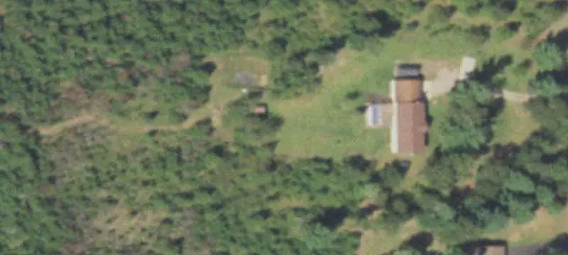 Wooded Hunting Land With Cabin