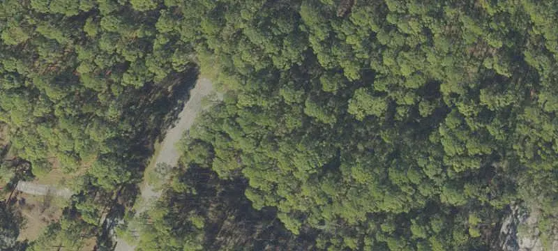 Vacant Land / Lots