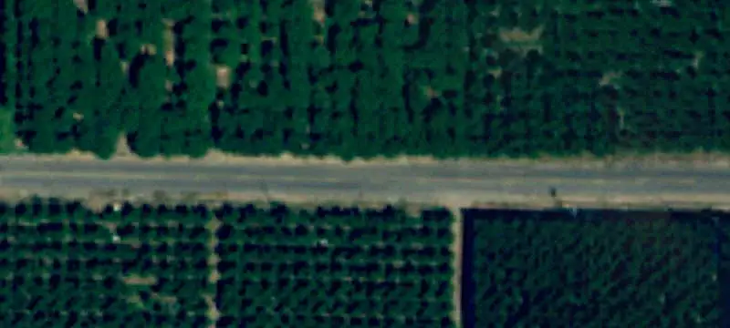 Planted Orchard Farm