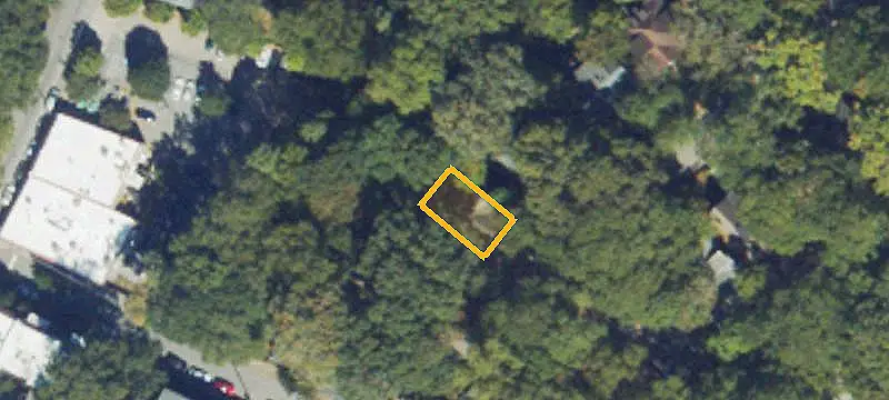Side-by-Side Duplex Among Mature Trees