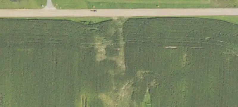 Agricultural Land with Mature Timber