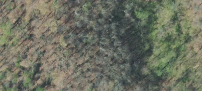 Unimproved Land