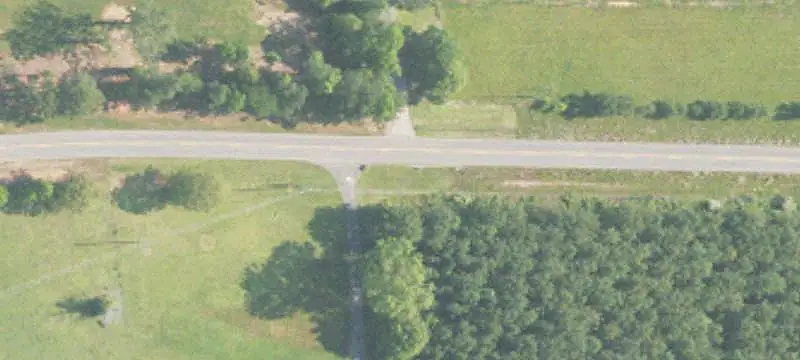 Wooded Pasture Land