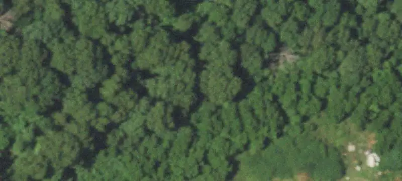Cleared Agricultural Land