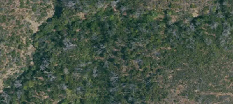 Hunting Land with Spring Well
