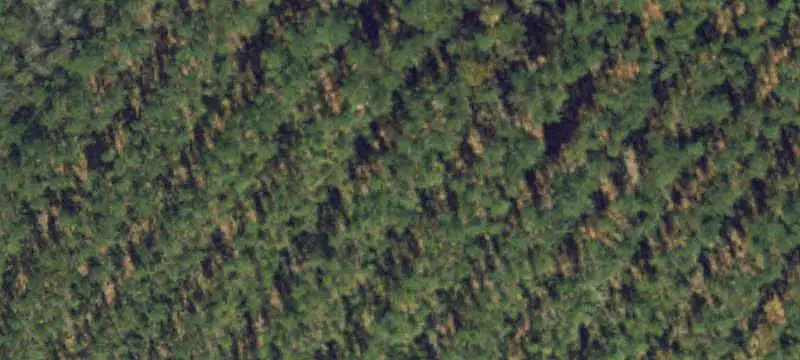 Land/Lot