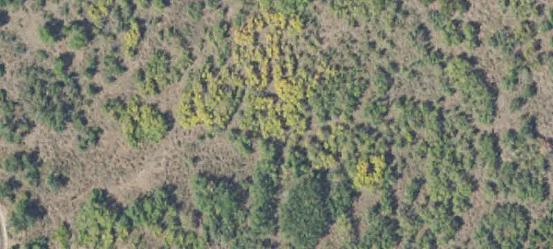 Acreage