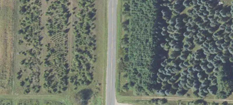Cleared Agricultural Land