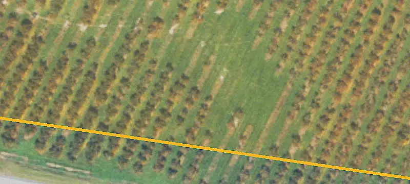 Unimproved Land
