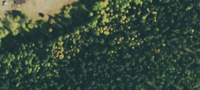 Land or Vacant Lot