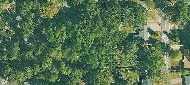 Wooded Land Parcels