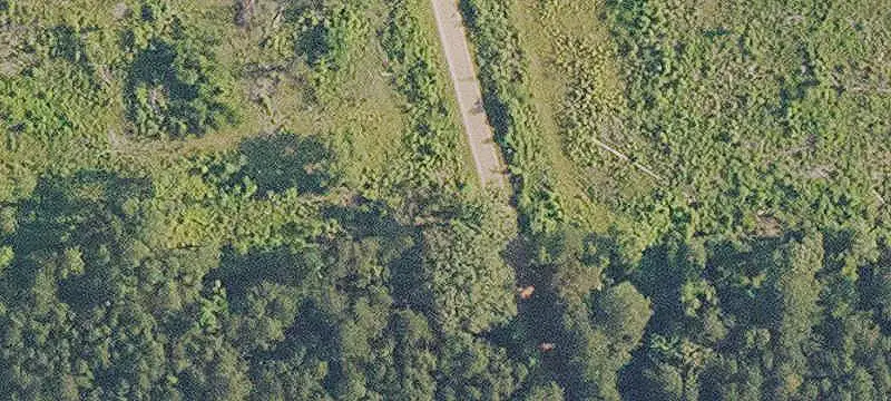 Timbered Hunting Land