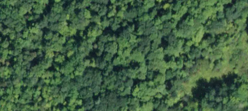 Unimproved Land