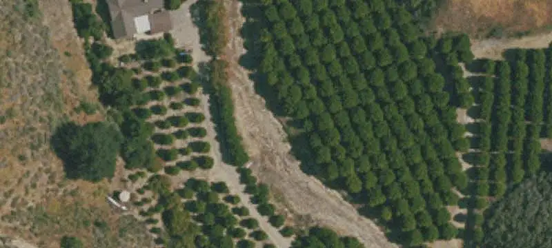 Agricultural Ranch with Orchards