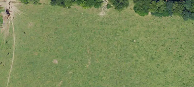 Multi-Residence Horse Farm