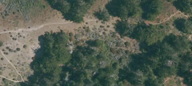 Land or Vacant Lot