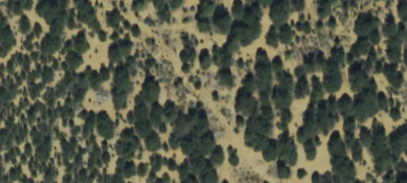 Unimproved Land