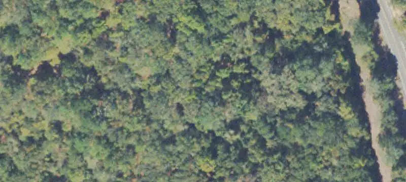 Agricultural Land with Creek Frontage