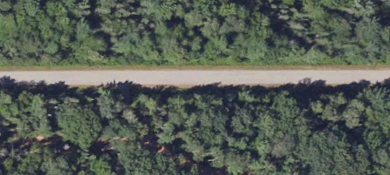 Recreation Land with Established Clearings