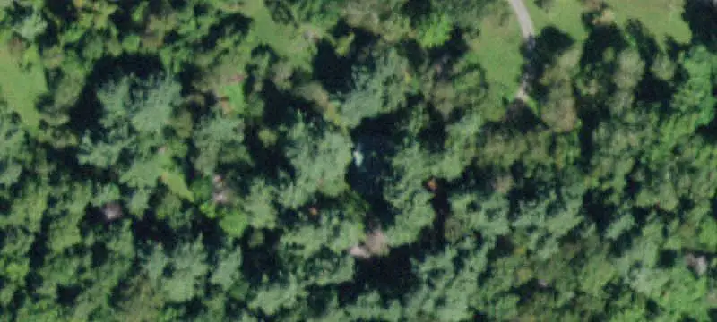 Elevated Hunting Land with Trails