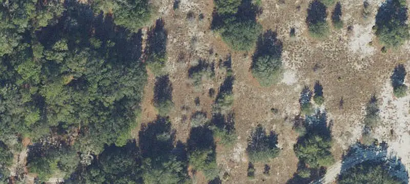 Land