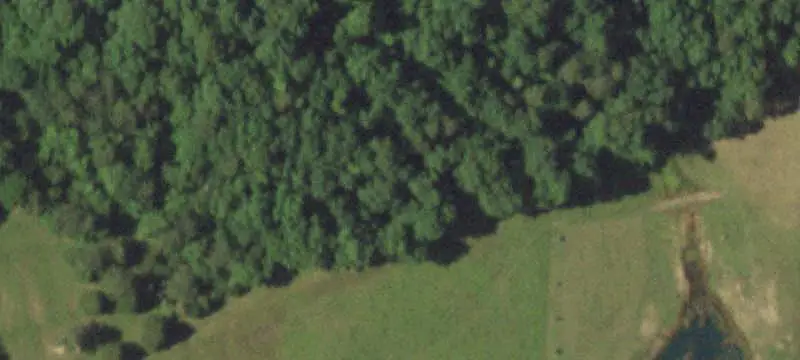 Four-Bedroom Farm with Shop