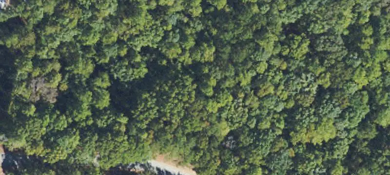 Land/Lot