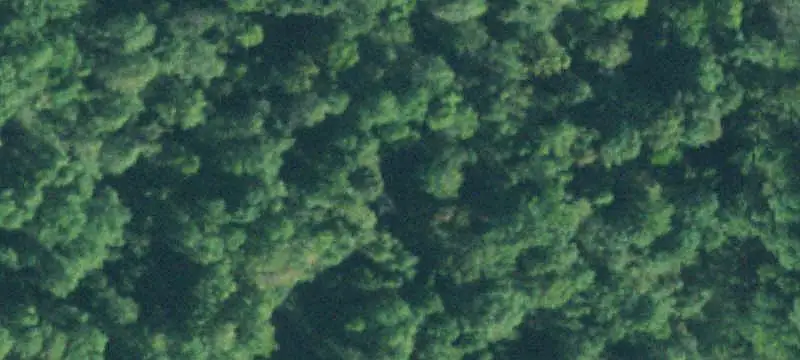 Country Hunting Land