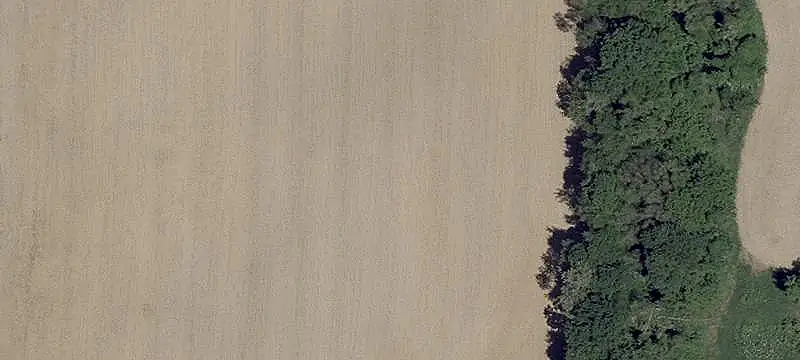 Farm Property with Farmhouse