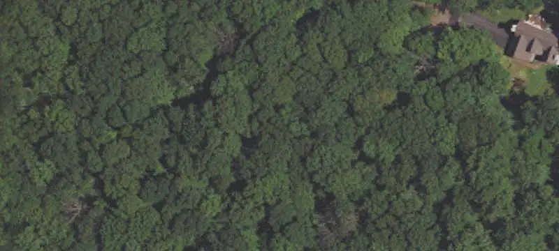 Land/Lot