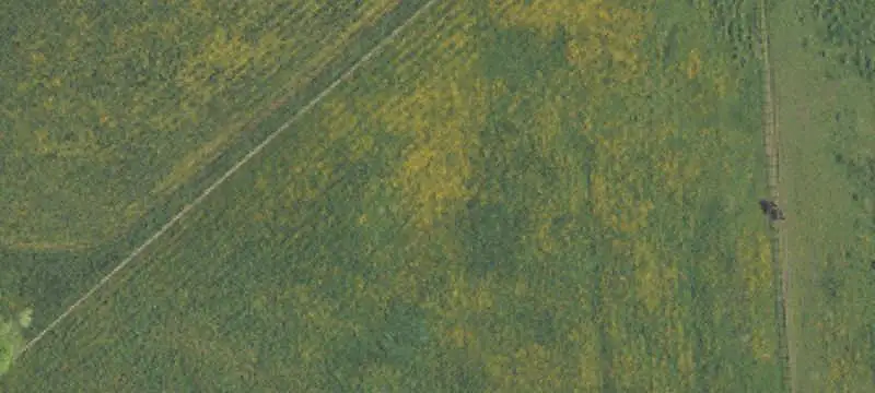 Equestrian Farm with Multiple Barns