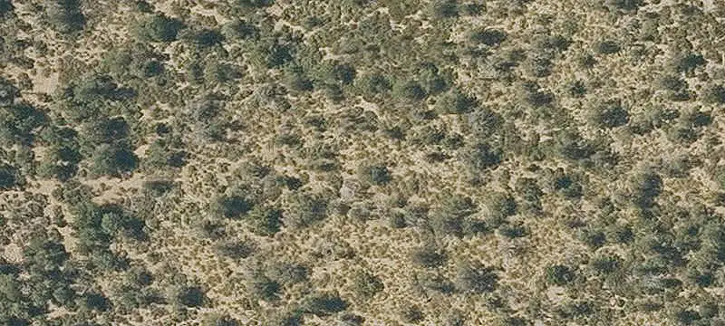 Land/Lot