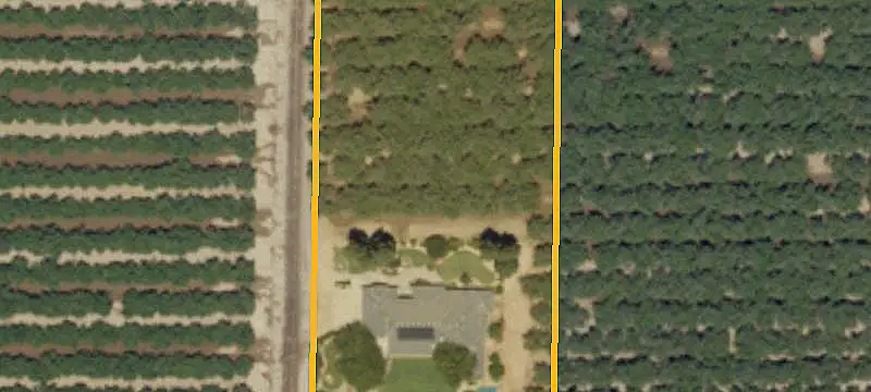 Almond Farm With Two Residences