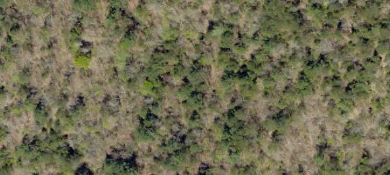 Hunting Land with Creek