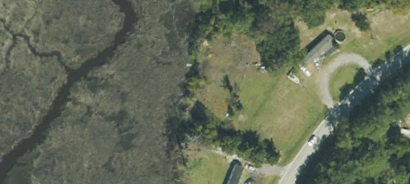 Pine Timber Land Tract