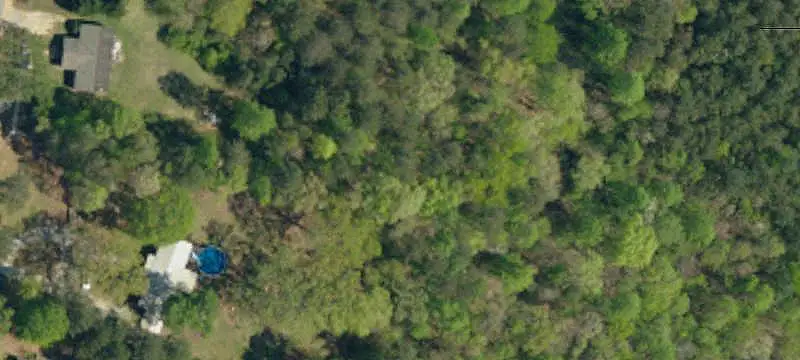 Wooded Hunting Land with Stream