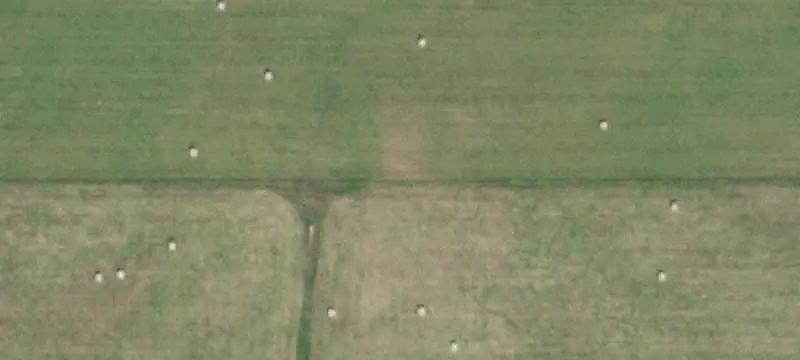 Farm with Drive-Through Shop