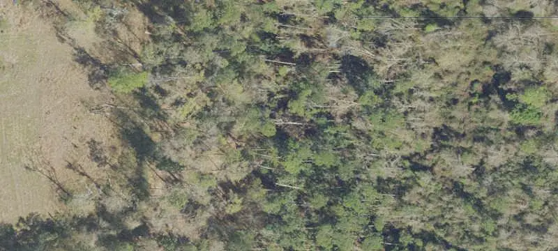 Unimproved Land