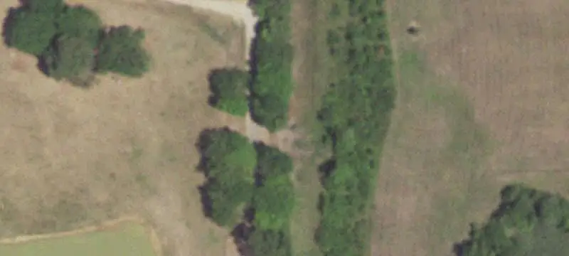 Fenced Agricultural Land with Timber