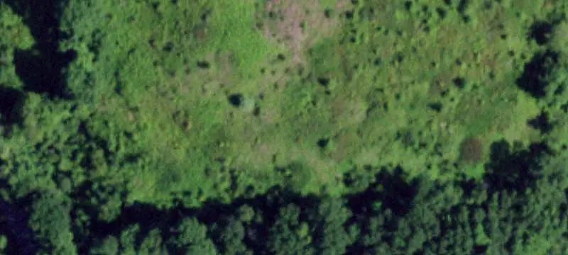 Wooded Off-Grid Land